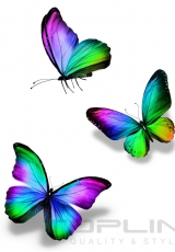 babochki_073
