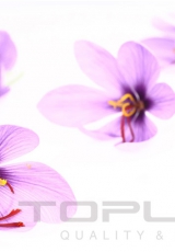 flowers_219_shutterstock_88571230