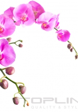 flowers_294_shutterstock_184839356