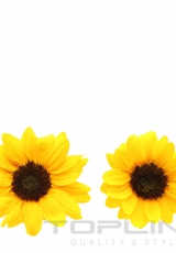 flowers_306_shutterstock_290603717